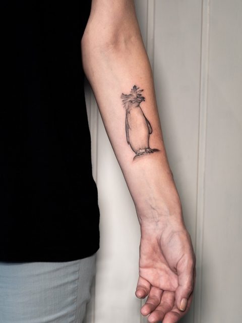 🐧 Das erste Tattoo für Elvira! 

Ein kleiner Felsenpinguin hat seinen Platz auf ihrem Unterarm gefunden - übrigens eine der kleinsten Pinguinarten. 

Danke, liebe Elvira, für dein Vertrauen und dieses niedliche Motiv. 💕

Hast du auch ein Liebslingstier, das du als Tattoo tragen würdest? 💬

#tattooköln #penguintattoo #animaltattoo #tattooinspiration #atelierherbariumbynuui