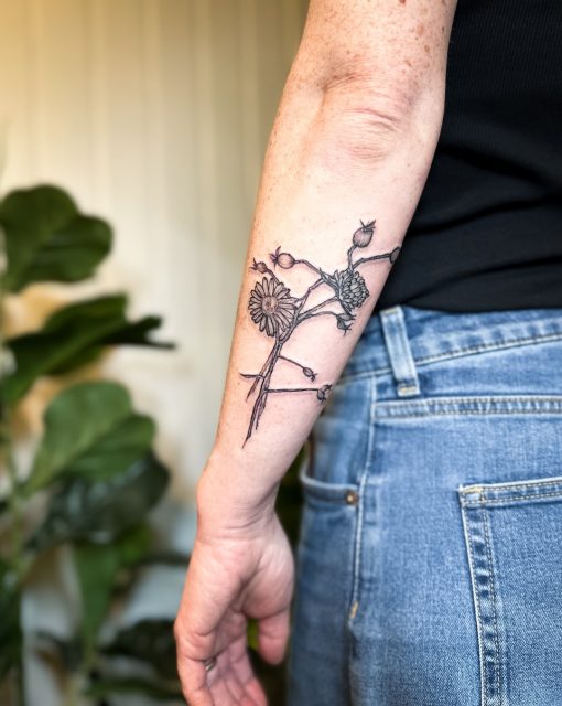 Nicht jede Pflanze wächst gerade.

Für Anna ist dieses botanische Motiv auf dem Unterarm entstanden – mit Blüten, Samenkapseln und feinen Linien, die sich ganz natürlich ihren Weg suchen.

Ich mag solche Motive, die wirken, als wären sie einfach gewachsen. Nicht perfekt symmetrisch, sondern lebendig. So, als wäre dieser kleine Blumenstrauß gerade erst am Wegesrand gepflückt worden.

Danke dir, Anna, für dein Vertrauen 🫶🏼

#tattookoeln #botanicaltattoo #wildflowertattoo #finelinetattoo #atelierherbariumbynuui