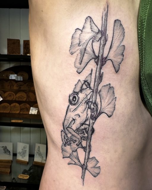 Ein Ginkgoblatt ist nicht einfach nur ein Ginkgoblatt.

Für Regina ist ein Ginkgozweig mit einem kleinen Laubfrosch entstanden, der sich daran festhält und nach oben klettert. Das Motiv sitzt seitlich am Brustkorb und der Flanke.

Dieses Tattoo nehme ich zum Anlass, etwas Neues auszuprobieren: Neben meinen Tattoo-Arbeiten möchte ich hier künftig auch gelegentlich kleine botanische und biologische Porträts teilen. Mit Hintergrundwissen zu den Pflanzen, Tieren und Pilzen, die in meinen Zeichnungen auftauchen und den Besonderheiten, die ich an ihnen spannend finde.

Den Anfang macht der Ginkgo – eine Pflanze mit einer bemerkenswert langen Evolutionsgeschichte. Seine nächsten Verwandten sind längst ausgestorben, während Ginkgo biloba als einzige heute lebende Art seiner Gruppe geblieben ist. Fossile Ginkgo-Blätter sind seit über 200 Millionen Jahren bekannt.

Swipe für das kleine Herbarium zum Tattoo.

#gingkotattoo #botanicaltattoo #naturtattoo #herbarium #atelierherbariumbynuui