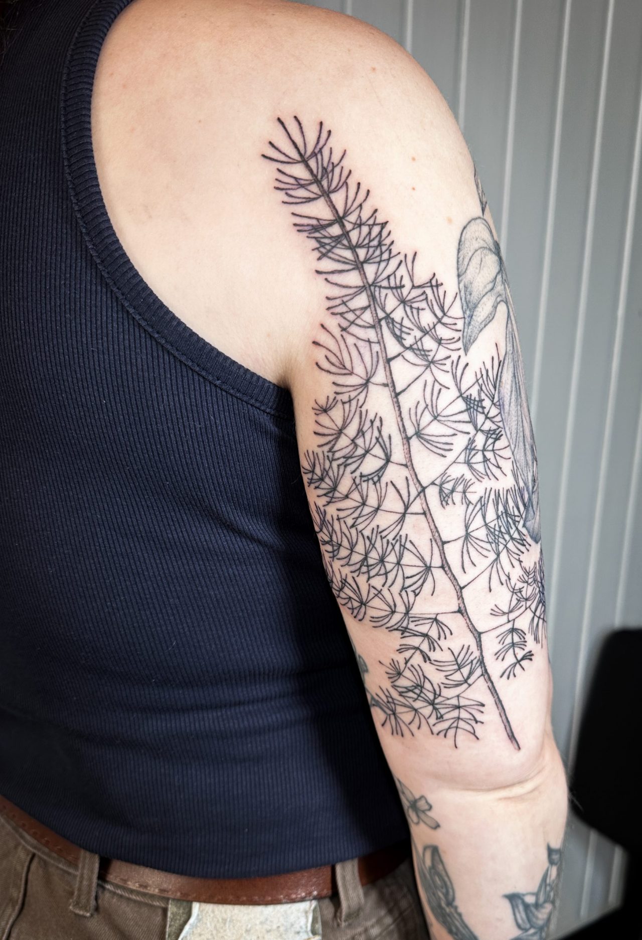 Oberarmtattoo: großer Spargelfarn