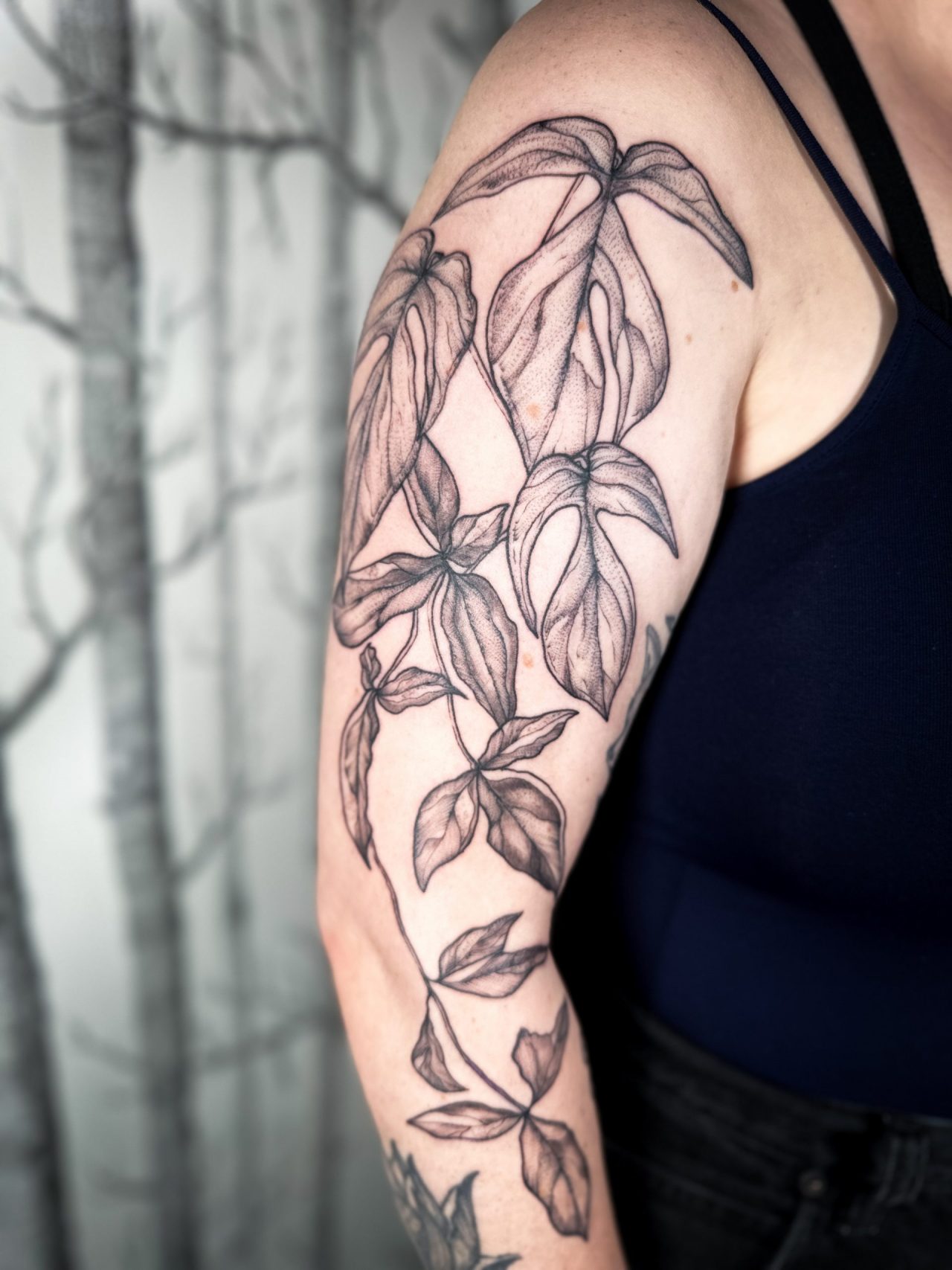 Amydriumpflanze und Syngonium Tricolore auf dem Oberarm