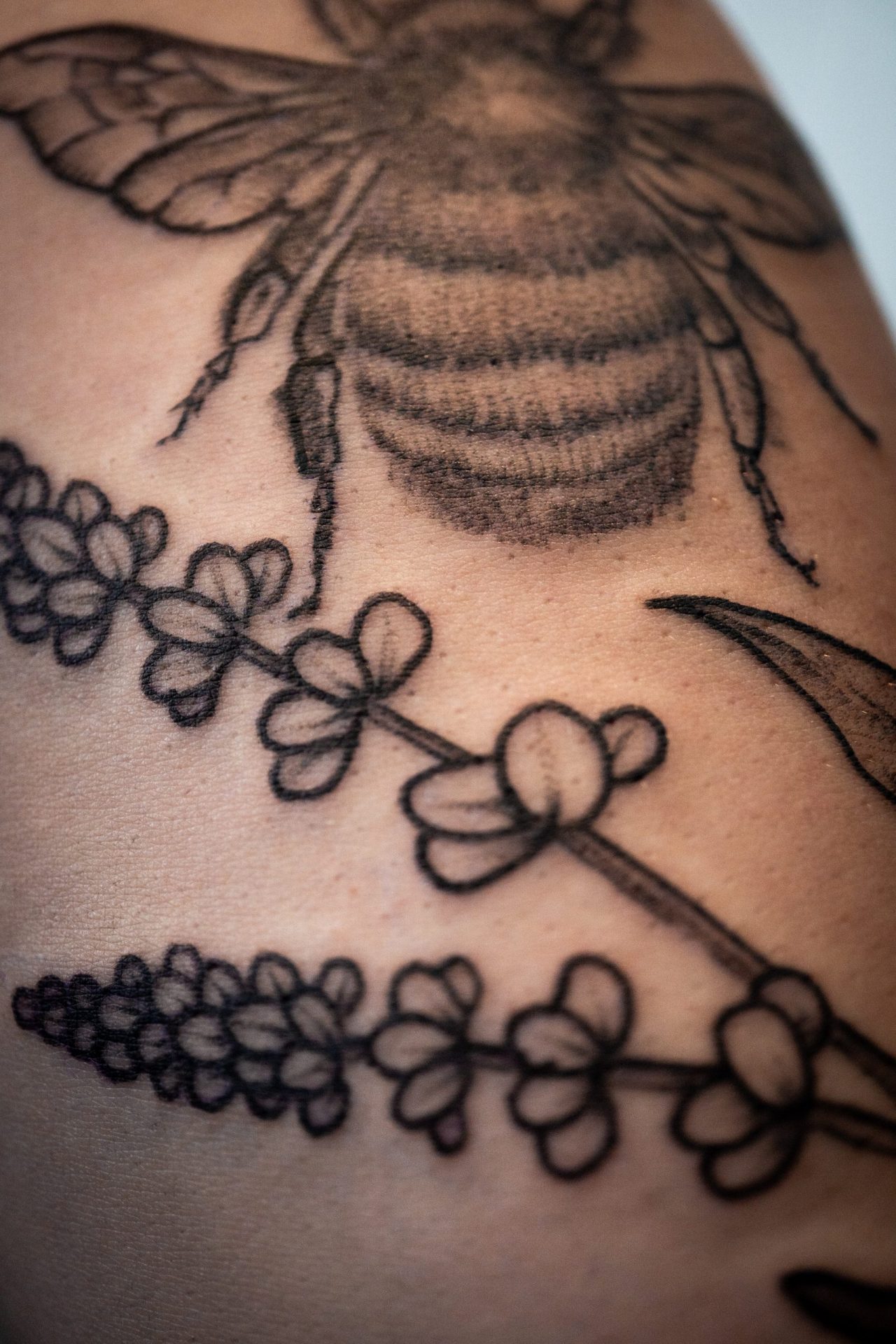 Detailshot Biene Unterkörper und ein Stück Lavendel