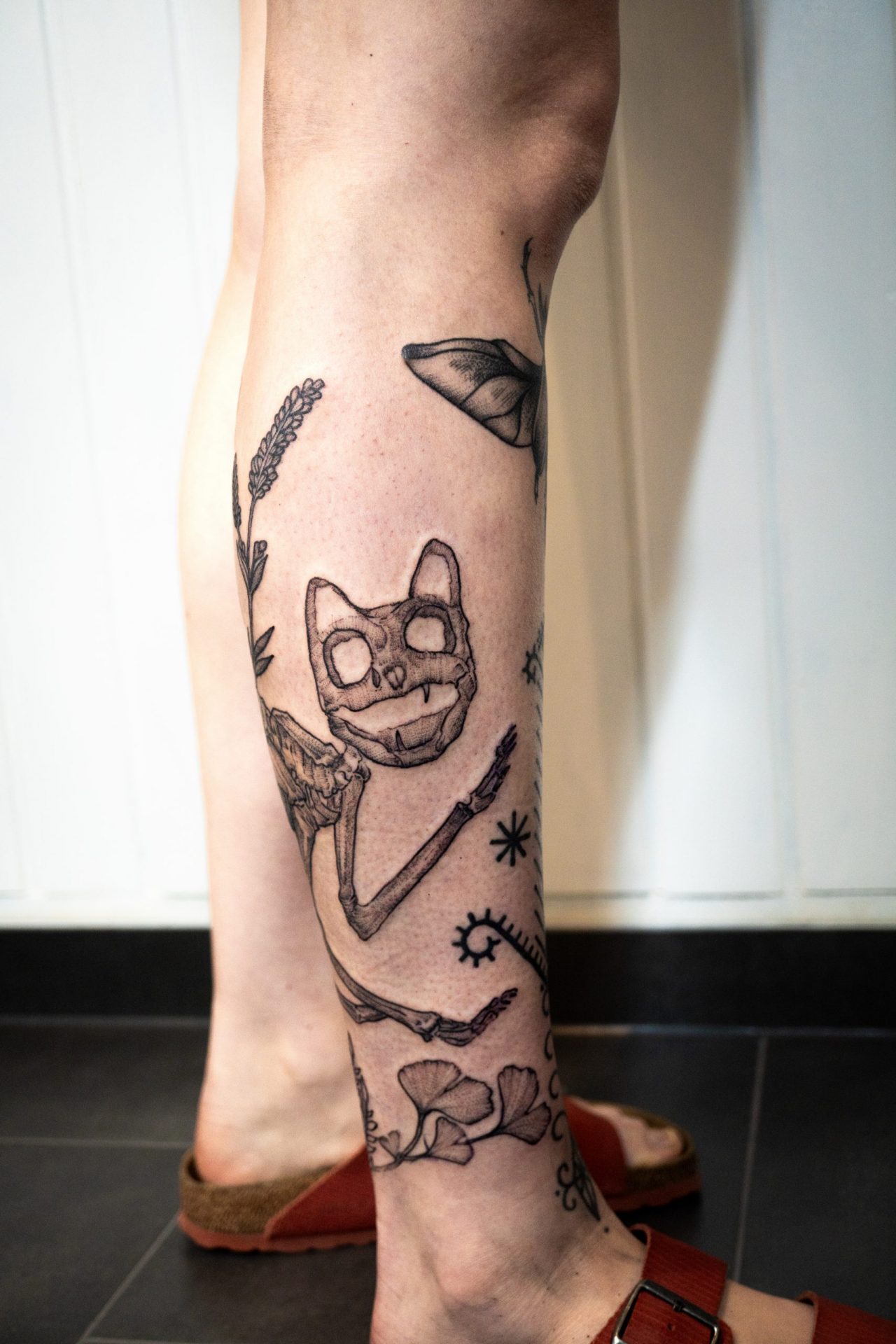 Beinsleeve Katzenskelett (Vorderer Teil mit Kopf)