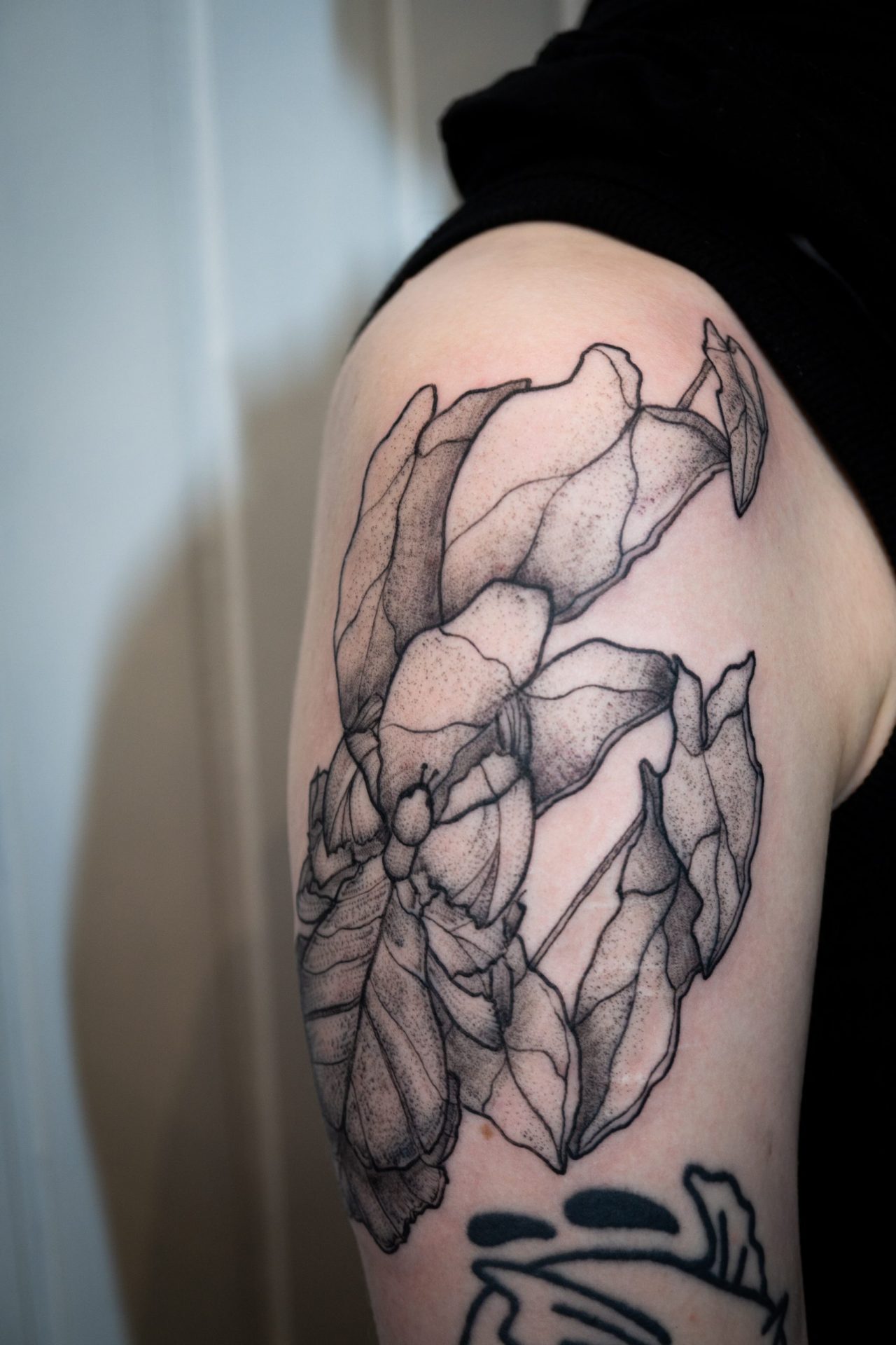 Schultertattoo: Wandelndes Blatt versteckt sich auf Aronstab