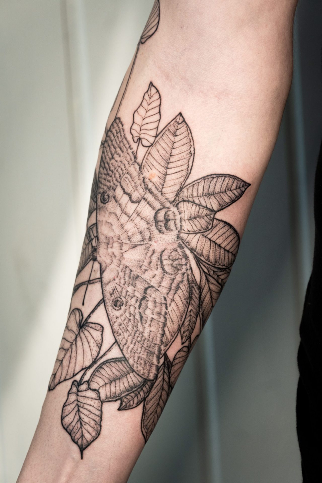 Unterarmtattoo: Hexenmotte umgeben von Hawaiianischen Pflanzen