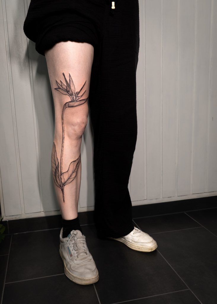 Beintattoo große Strelitzie vom Knöchel bis auf den Oberschenkel - naturalistic black and grey - Kunst und Tattoo - Köln