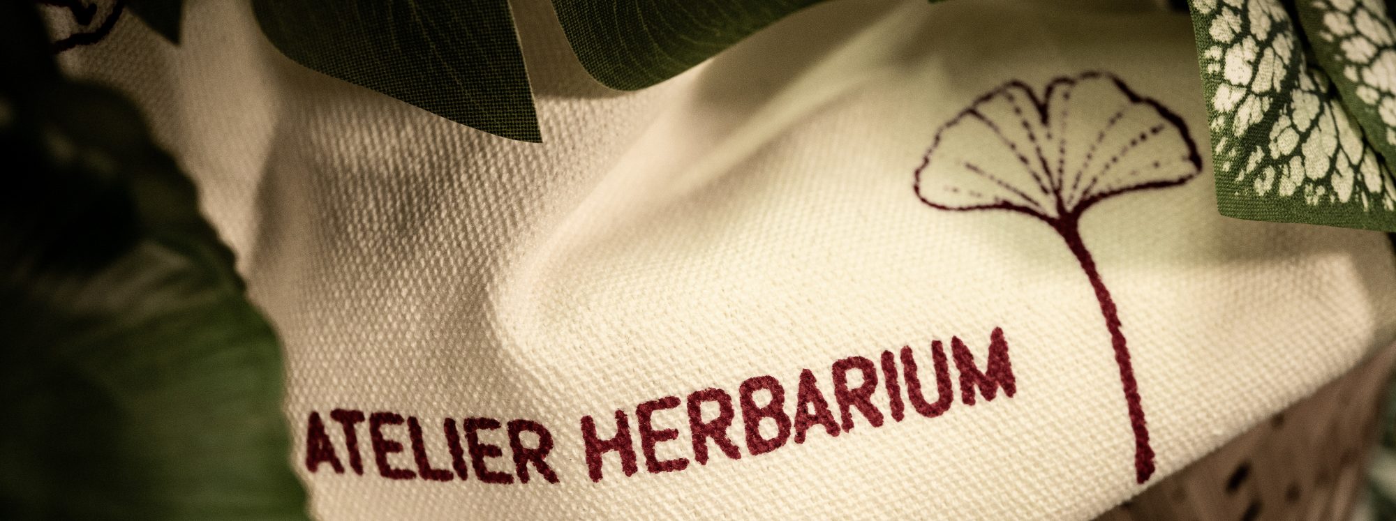 Atelier Herbarium